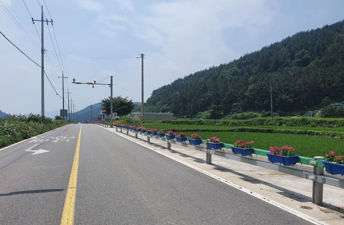 서면행정복지센터, 도로변 가드레일 페츄니아 꽃으로 단장