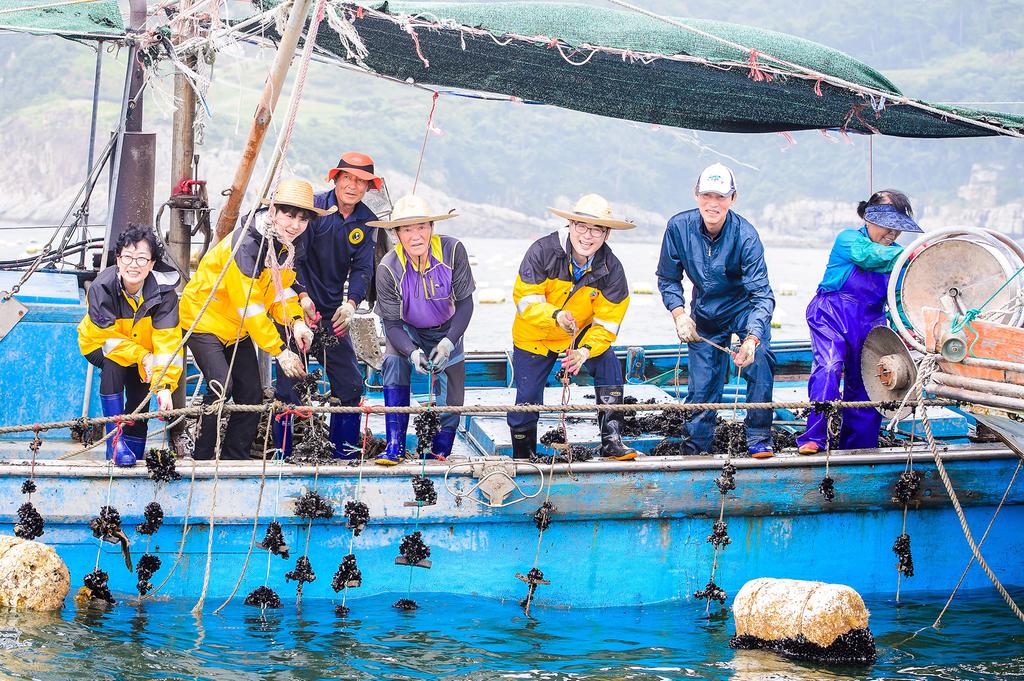 창선면 장포 홍합양식 현장돕기 및 체험을 하고 있는 장충남 남해군수와 관계자들 모습